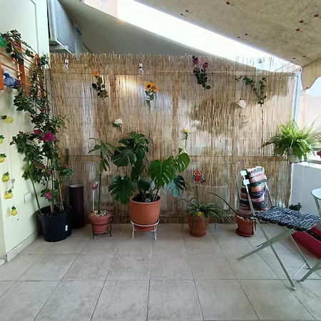 Apartment Sunny
